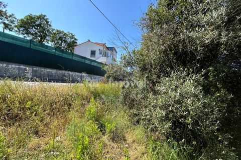 Helårsgrund i Tomar, Santarem, Tomar - € 79.500 | Ref: 01171-24 - foto 20