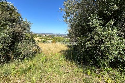 Helårsgrund i Tomar, Santarem, Tomar - € 79.500 | Ref: 01171-24 - foto 21