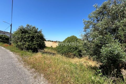 Helårsgrund i Tomar, Santarem, Tomar - € 79.500 | Ref: 01171-24 - foto 22