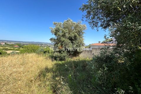 Helårsgrund i Tomar, Santarem, Tomar - € 79.500 | Ref: 01171-24 - foto 23