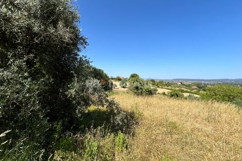 Helårsgrund i Tomar, Santarem, Tomar - € 79.500 | Ref: 01171-24 - foto 24