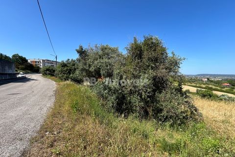 Helårsgrund i Tomar, Santarem, Tomar - € 79.500 | Ref: 01171-24 - foto 3