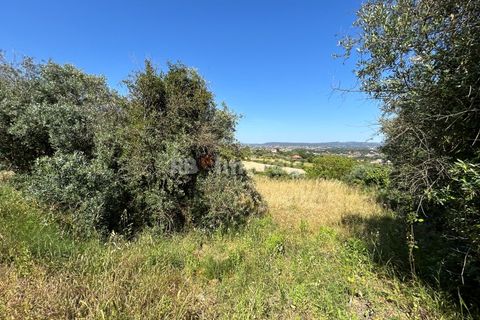 Helårsgrund i Tomar, Santarem, Tomar - € 79.500 | Ref: 01171-24 - foto 15