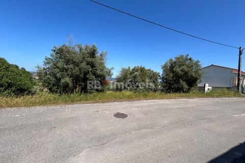 Helårsgrund i Tomar, Santarem, Tomar - € 79.500 | Ref: 01171-24 - foto 26