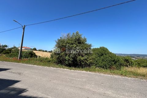 Helårsgrund i Tomar, Santarem, Tomar - € 79.500 | Ref: 01171-24 - foto 27