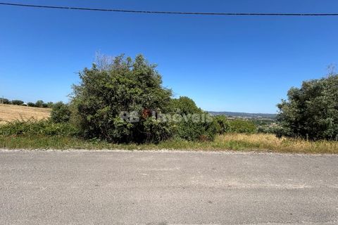 Helårsgrund i Tomar, Santarem, Tomar - € 79.500 | Ref: 01171-24 - foto 28