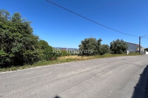 Helårsgrund i Tomar, Santarem, Tomar - € 79.500 | Ref: 01171-24 - foto 29