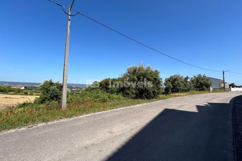 Helårsgrund i Tomar, Santarem, Tomar - € 79.500 | Ref: 01171-24 - foto 30