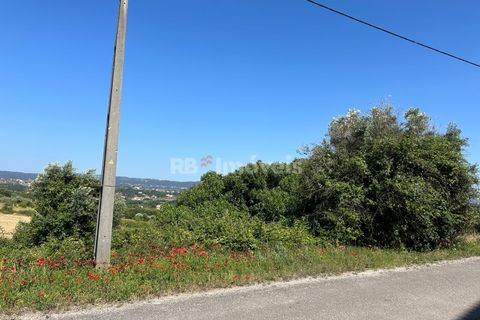 Helårsgrund i Tomar, Santarem, Tomar - € 79.500 | Ref: 01171-24 - foto 31