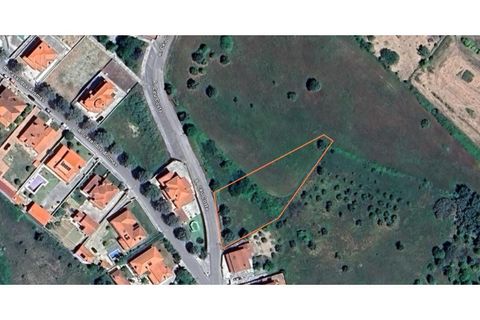 Helårsgrund i Tomar, Santarem, Tomar - € 79.500 | Ref: 01171-24 - foto 34