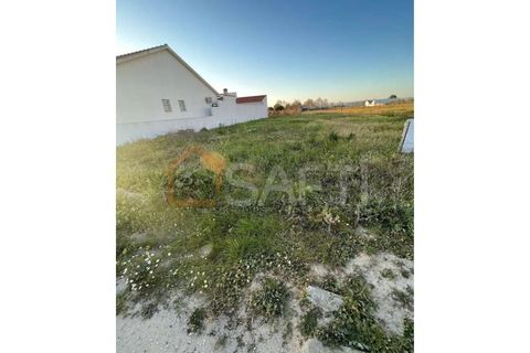 Helårsgrund i Alpiarca, Santarem, Alpiarca - € 55.000 | Ref: SAFTI:004895 - foto 4
