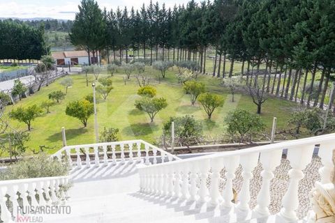 Farm i Belmonte, Castelo Branco, Belmonte - € 1.400.000 | Ref: MAS_105RS1202-3292 - foto 2