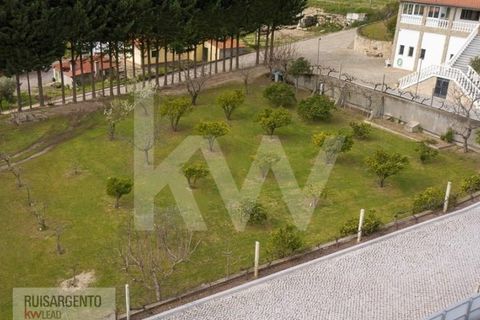 Farm i Belmonte, Castelo Branco, Belmonte - € 1.400.000 | Ref: MAS_105RS1202-3292 - foto 4