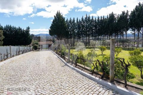 Farm i Belmonte, Castelo Branco, Belmonte - € 1.400.000 | Ref: MAS_105RS1202-3292 - foto 5