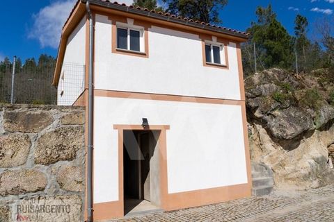 Farm i Belmonte, Castelo Branco, Belmonte - € 1.400.000 | Ref: MAS_105RS1202-3292 - foto 16