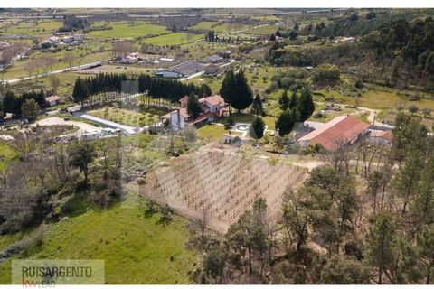 Farm i Belmonte, Castelo Branco, Belmonte - € 1.400.000 | Ref: MAS_105RS1202-3292 - foto 17
