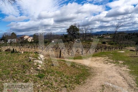 Farm i Belmonte, Castelo Branco, Belmonte - € 1.400.000 | Ref: MAS_105RS1202-3292 - foto 18