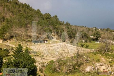 Farm i Belmonte, Castelo Branco, Belmonte - € 1.400.000 | Ref: MAS_105RS1202-3292 - foto 19