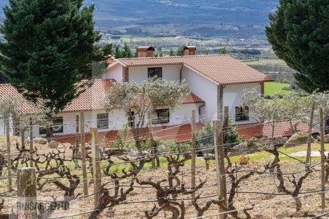 Farm i Belmonte, Castelo Branco, Belmonte - € 1.400.000 | Ref: MAS_105RS1202-3292 - foto 20