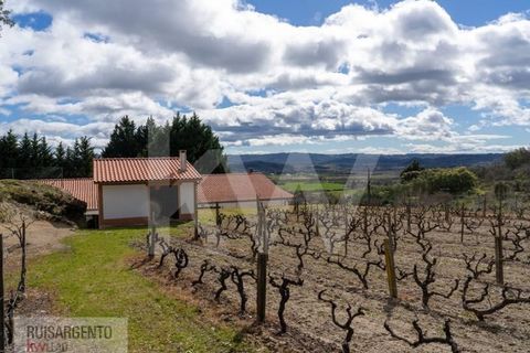 Farm i Belmonte, Castelo Branco, Belmonte - € 1.400.000 | Ref: MAS_105RS1202-3292 - foto 21