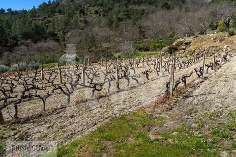 Farm i Belmonte, Castelo Branco, Belmonte - € 1.400.000 | Ref: MAS_105RS1202-3292 - foto 22