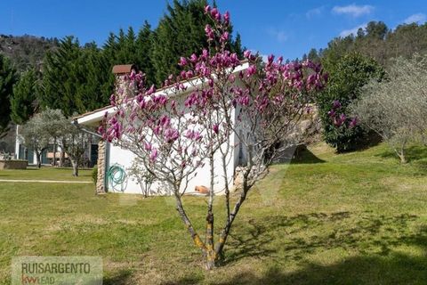 Farm i Belmonte, Castelo Branco, Belmonte - € 1.400.000 | Ref: MAS_105RS1202-3292 - foto 24