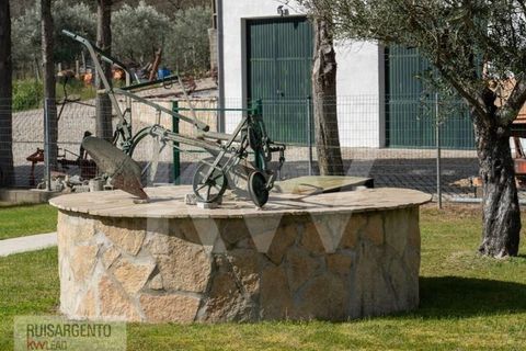Farm i Belmonte, Castelo Branco, Belmonte - € 1.400.000 | Ref: MAS_105RS1202-3292 - foto 30