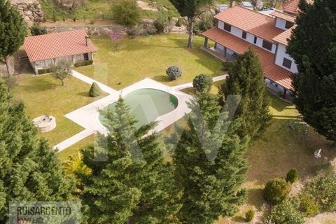 Farm i Belmonte, Castelo Branco, Belmonte - € 1.400.000 | Ref: MAS_105RS1202-3292 - foto 32