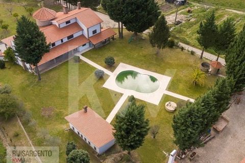 Farm i Belmonte, Castelo Branco, Belmonte - € 1.400.000 | Ref: MAS_105RS1202-3292 - foto 34