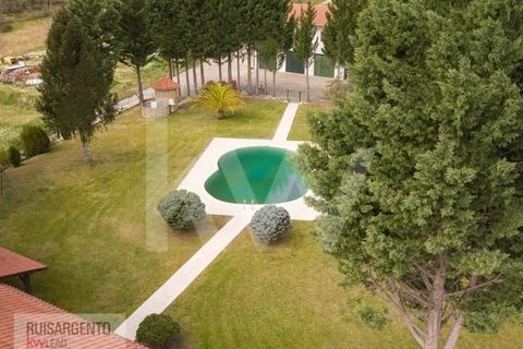 Farm i Belmonte, Castelo Branco, Belmonte - € 1.400.000 | Ref: MAS_105RS1202-3292 - foto 36