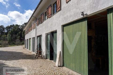 Farm i Belmonte, Castelo Branco, Belmonte - € 1.400.000 | Ref: MAS_105RS1202-3292 - foto 39