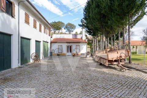 Farm i Belmonte, Castelo Branco, Belmonte - € 1.400.000 | Ref: MAS_105RS1202-3292 - foto 41