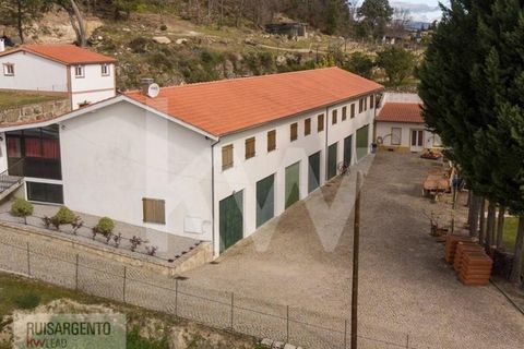 Farm i Belmonte, Castelo Branco, Belmonte - € 1.400.000 | Ref: MAS_105RS1202-3292 - foto 43