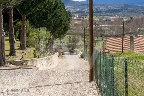 Farm i Belmonte, Castelo Branco, Belmonte - € 1.400.000 | Ref: MAS_105RS1202-3292 - foto 44