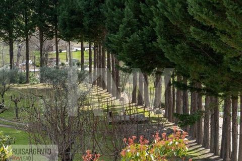 Farm i Belmonte, Castelo Branco, Belmonte - € 1.400.000 | Ref: MAS_105RS1202-3292 - foto 45
