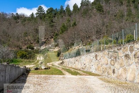 Farm i Belmonte, Castelo Branco, Belmonte - € 1.400.000 | Ref: MAS_105RS1202-3292 - foto 46