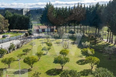 Farm i Belmonte, Castelo Branco, Belmonte - € 1.400.000 | Ref: MAS_105RS1202-3292 - foto 47