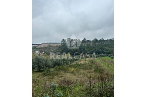 Helårsgrund i Batalha, Leiria, Batalha - € 9.900 | Ref: SÒL_64 - foto 1