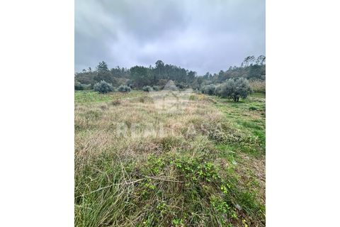 Helårsgrund i Batalha, Leiria, Batalha - € 9.900 | Ref: SÒL_64 - foto 2