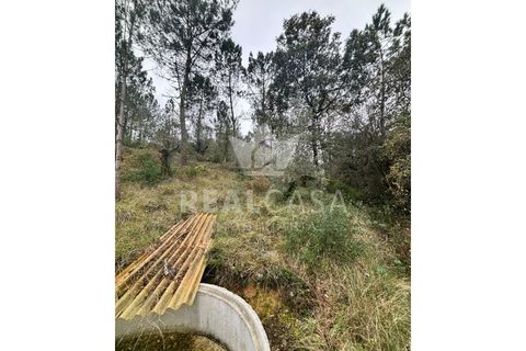 Helårsgrund i Batalha, Leiria, Batalha - € 9.900 | Ref: SÒL_64 - foto 4