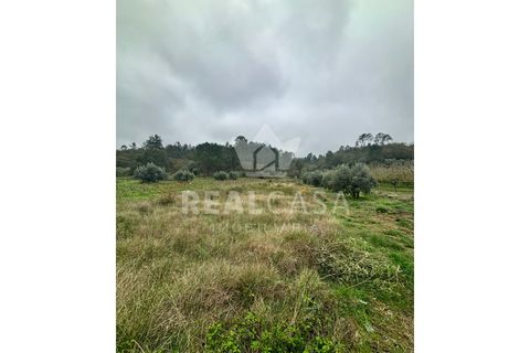 Helårsgrund i Batalha, Leiria, Batalha - € 9.900 | Ref: SÒL_64 - foto 5