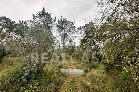 Helårsgrund i Batalha, Leiria, Batalha - € 9.900 | Ref: SÒL_64 - foto 6