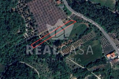 Helårsgrund i Batalha, Leiria, Batalha - € 9.900 | Ref: SÒL_64 - foto 7