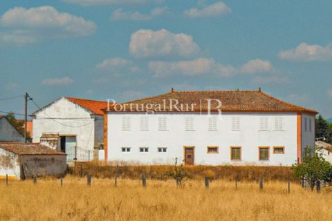 Farm i Portalegre, Portalegre, Portalegre - € 375.000 | Ref: 622-1 - foto 11