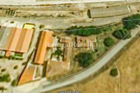 Farm i Portalegre, Portalegre, Portalegre - € 375.000 | Ref: 622-1 - foto 21