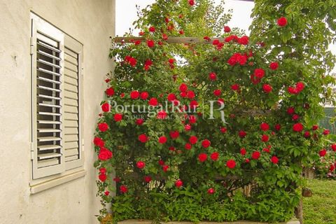 Farm i Portalegre, Portalegre, Portalegre - € 375.000 | Ref: 622-1 - foto 22