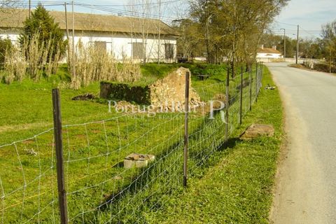 Farm i Portalegre, Portalegre, Portalegre - € 375.000 | Ref: 622-1 - foto 37