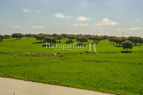 Farm i Portalegre, Portalegre, Portalegre - € 375.000 | Ref: 622-1 - foto 47
