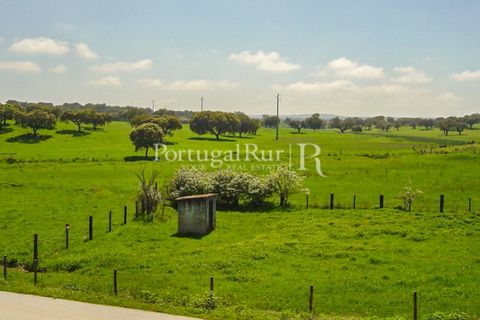 Farm i Portalegre, Portalegre, Portalegre - € 375.000 | Ref: 622-1 - foto 48