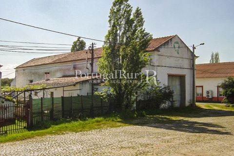 Farm i Portalegre, Portalegre, Portalegre - € 375.000 | Ref: 622-1 - foto 49